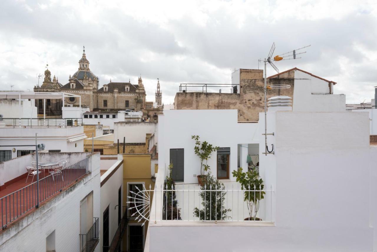 La Casa Del Lagar 10, Seville